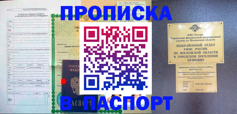 временная регистрация госуслуги в Каменке